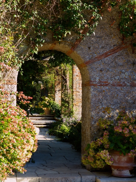 Eté indien au Bois des Moutiers 14